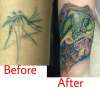 mosquito coverup tattoo