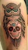 owl with skull tattoo