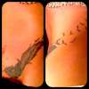 Feather cover up tattoo