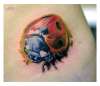 Ladybug tattoo