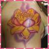 Lotus Flower tattoo