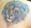 The Lion tattoo