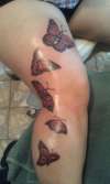 butterfly tatts tattoo