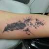 feather tattoo