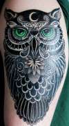 Owl tattoo