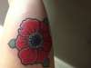 Simple sort of traditonal poppy tattoo