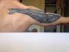 Whale with no Name tattoo