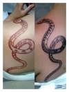 freehand tribal snake tattoo