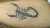 Scorpion tattoo