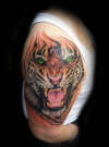 tiger realistic color tattoo