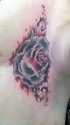 A Dying Rose Reborn-Chest Piece tattoo