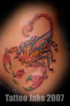 Feminine Tattooed Scorpion