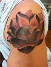 Lotus in Black & Gray tattoo