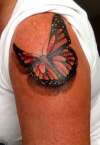 Sunset butterfly tattoo