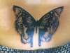 Tiger butterfly tattoo
