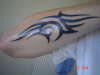 tribal fore arm tattoo