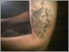 Wolf tattoo