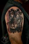Bamboo Tiger tattoo