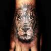 Lion on Hand tattoo