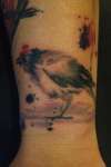 Old Man Bird tattoo