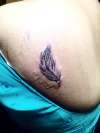 feather tattoo