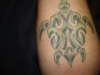 turtle tattoo