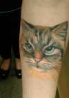 Cat portrait tattoo - still healing