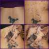 Pegasus Cover Up tattoo