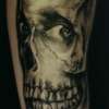 Skull portrait by Steve'O tattoo
