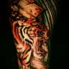 Tiger tattoo by Steve'O