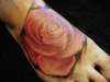 dusty rose tattoo