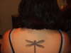 Dragonfly tattoo
