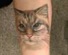 Cat portrait tattoo - healed after touchup
