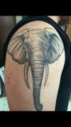 Elephant &#128024; tattoo