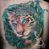 Tiger chest tattoo