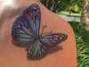 Shoulder Butterfly tattoo