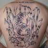 tiger on back tattoo