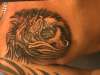 Tribal Lion Chest Tattoo