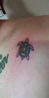 color of tashas turtle tattoo