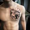 lion chest piece tattoo