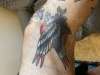 Knee Eagle tattoo