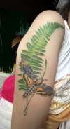 Moth and fern tattoo