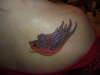 right swallow tattoo