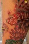 Close up on the Lion Fish tattoo