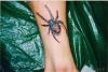 brimstone spider tattoo