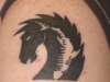 upper arm horse/ shark tattoo