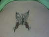 cute butterfly tattoo