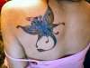 Fairy Dragon tattoo