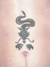tribal dragon stomach tattoo