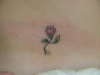 tiny tiny rose tattoo
